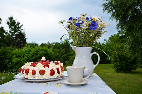 草莓蛋糕蓝色风格荒野叶子美丽园艺桌子野花天空阳光照射图片