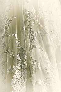 婚礼草摄影时装白色婚纱礼服新娘背景图片