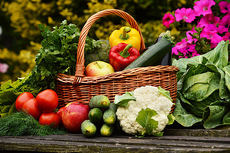 花园菜篮中维杰篮子中的新鲜有机蔬菜收成菜花香菜生态水果柳条衬套茄子植物桌子图片