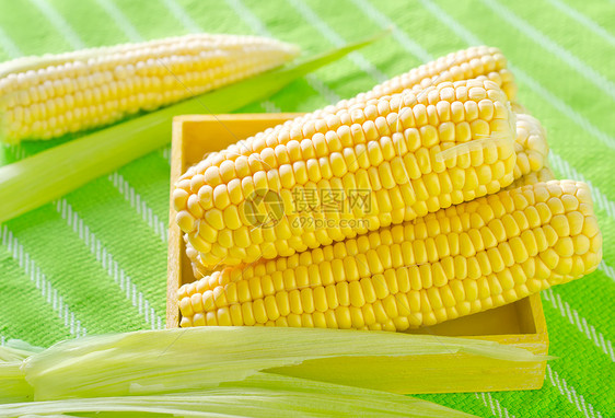 原玉米工作室流行音乐粮食生产金子耳朵饮食种子爆米花农场图片