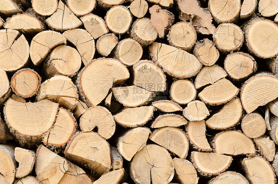 为家用壁炉抽打和堆柴森林木制品记录松树材料燃料活力柴堆树桩加热图片