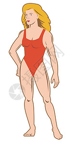 穿泳衣的女性插图硬体泳装女孩身体女士图片