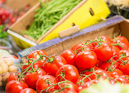 番茄绿色农场团体营养植物收成水果食物生产蔬菜图片