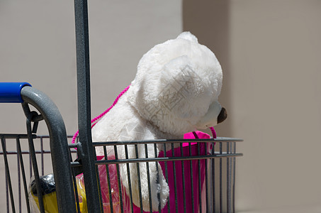 基德购物零售孩子玩具购物车玩具熊水平图片