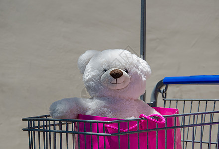 基德购物玩具熊孩子零售水平玩具购物车图片