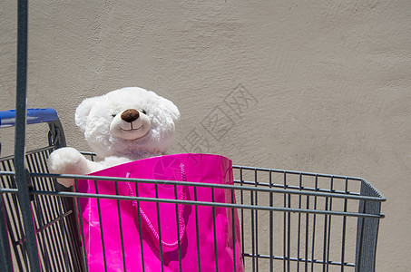 儿童购物购物车玩具熊孩子玩具零售水平图片