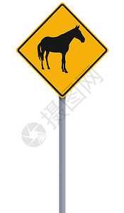 1cH00FFFFi1马之年钻石白色标志交通黄色路标动物概念图片