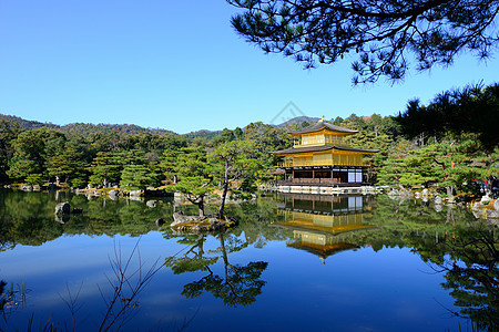 日本京都金宫寺庙金殿历史公园花园地标旅行松树金子池塘文化建筑学图片