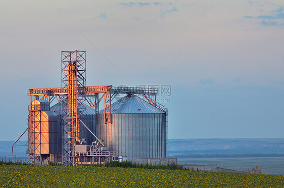 谷仓服务电梯玉米农业收成仓库国家市场收获制造业图片