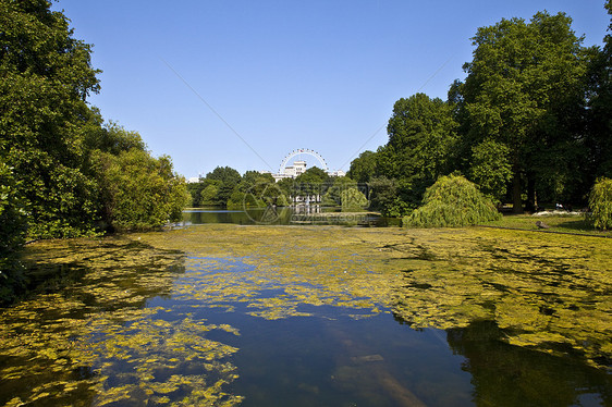 伦敦圣詹姆斯公园的景象旅行景点车轮皇家树木眼睛荒野公园地标摩天轮图片