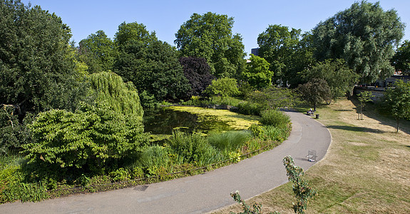 伦敦圣詹姆斯公园池塘树木皇家旅行观光景点荒野公园图片
