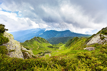 喀尔巴山山脉云杉高地爬坡顶峰山链岩石远足松树公园森林图片