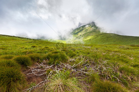 喀尔巴山山脉公园岩石高地环境场景远足松树山链顶峰云杉图片