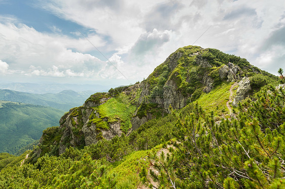 喀尔巴山山脉天空高地远足顶峰环境云杉森林公园蓝色松树图片