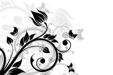 一 鲜花和蝴蝶背景摘要漩涡艺术插图植物叶子滚动模版黑色图片