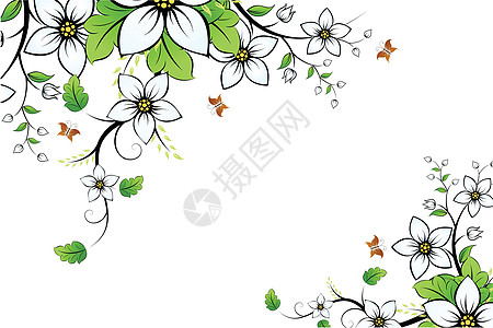 鲜花框架漩涡标语叶子白色季节艺术插图创造力作品水平背景图片