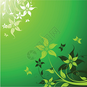 矢量花卉背景蝴蝶插图绿色植物叶子图片