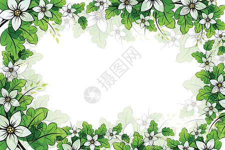 eps10 花框插图框架透明度叶子绿色空白创造力植物图片