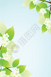 树叶和花花艺术花朵框架蓝色绿色花瓣白色图片