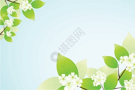 树叶和花花框架蓝色花瓣绿色花朵艺术白色图片