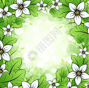 Floral 纤维化框架标语植物插图卷曲滚动曲线叶子绿色图片