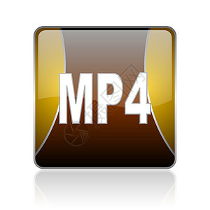 mp4 金方网的闪光图标图片