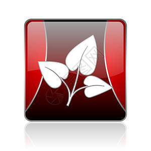 生态红方网络光亮的图标标识正方形叶子商业生物地球植物树叶互联网植物群图片
