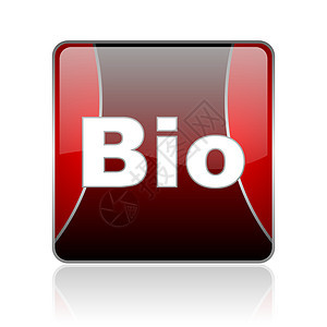 生物红色正方形网络灰色图标叶子互联网标识生物学植物商业食物世界回收网站图片