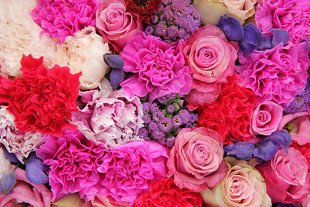 粉色和紫色不同颜色的新娘装饰植物群花店婚姻花朵作品植物学花束植物中心婚礼图片