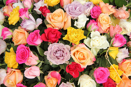 混合玫瑰花束花朵植物群植物学绿色粉色黄色花瓣植物红色花店图片