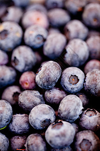 健康新鲜蓝莓宏观在户外市场闭合小吃营养覆盆子市场蓝色团体饮食食物浆果植物图片