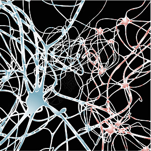 神经元轴突神经电子发芽智力核子生活生长生物进步图片