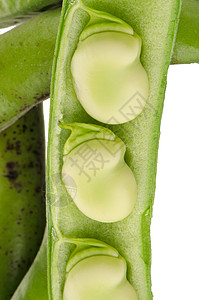 绿豆饮食蔬菜烹饪厨房丝带豆子绿色收成食品豆类图片