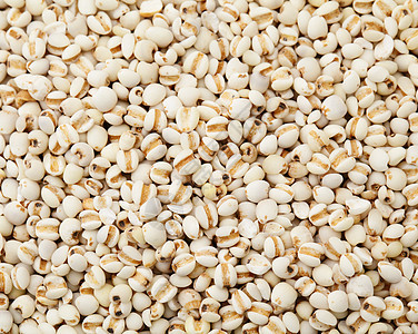 coixseed 堆肥珍珠求职者营养食物眼泪矿物质大麦直素种子维生素图片