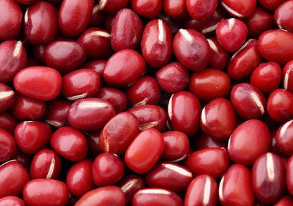Adzuki 红豆快关门了豆类种子核心小豆营养红色植物美食食物农业图片