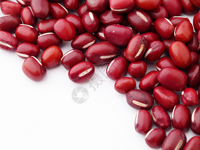 白色背景的红豆孤立于白底植物核心粮食种子红色食物美食小豆豆类营养图片