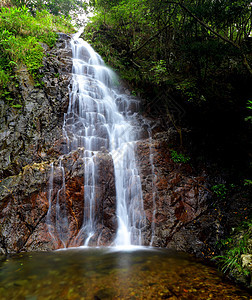 森林的瀑布风景环境太阳木头公园热带丛林池塘岩石植物图片