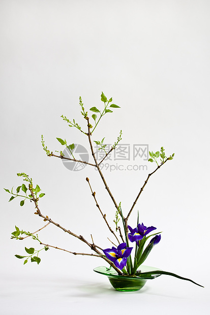 Ikebana 与月花和 lilac 在光背景上鸢尾花白色作品花瓶展示花道蓝色植物花蕾紫丁香图片