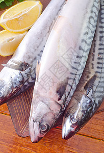生鱼鳟鱼小吃蓝色食物水果香料钓鱼海洋尾巴鲭鱼图片
