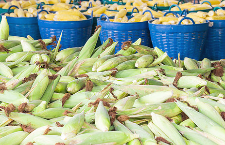 新鲜玉米篮子内核场地店铺收成饮食麦片味农场蔬菜绿色环境图片