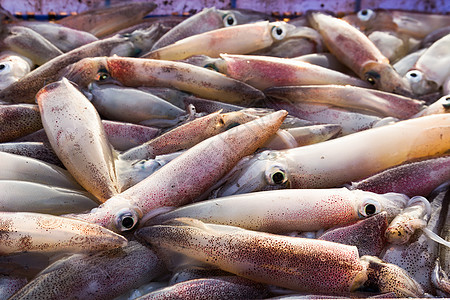 新鲜鱿鱼团体食物宏观钓鱼海浪乌贼触手探者荒野厨房图片
