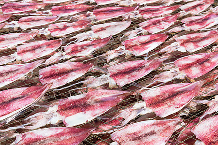 网上烘干鱿鱼餐厅章鱼食物市场海湾文化海鲜饮食营养假期图片
