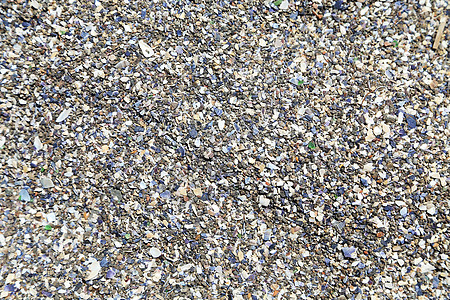 海滨的贝壳和碎石图片