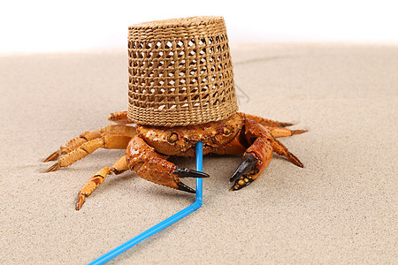 篮子 沙上螃蟹和鸡尾酒管图片