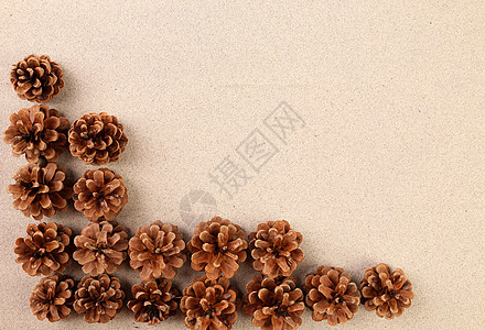 在沙滩上排列的松锥框架宏观褐色松树粒子黄色锥体沙漠金子海滩花纹图片