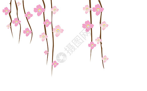 萨库拉花瓣粉色花园季节叶子植物学植物樱花插图图片