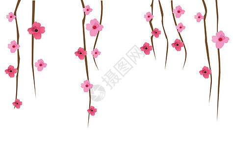樱桃枝植物学粉色叶子樱花花园季节插图花瓣植物图片
