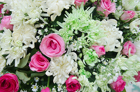 花束玫瑰植物群粉色雏菊叶子白色绿色植物花瓣图片