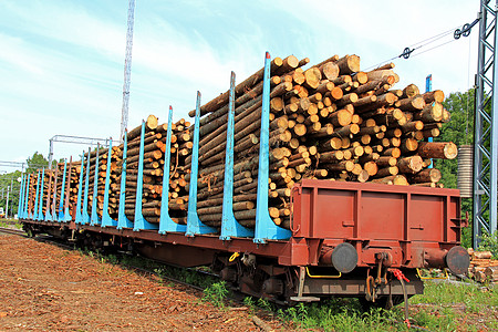 铁车中的木头图片
