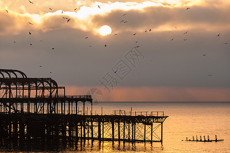 日落时西码头建筑海鸥海洋海岸线太阳海景橙子英语金属建筑学图片